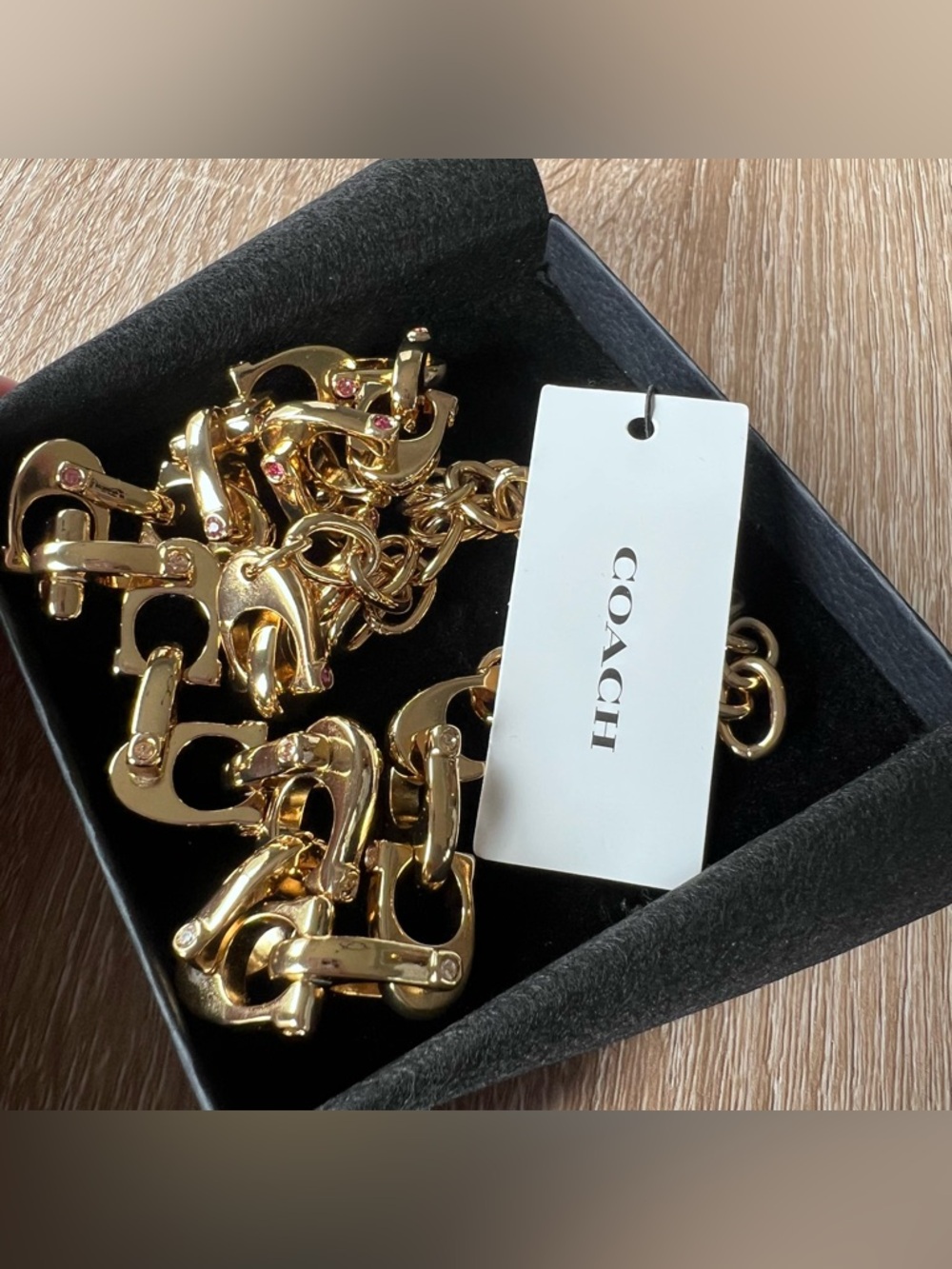 Coach Chunky Signature Chain Link Necklace - Picture 5 of 6